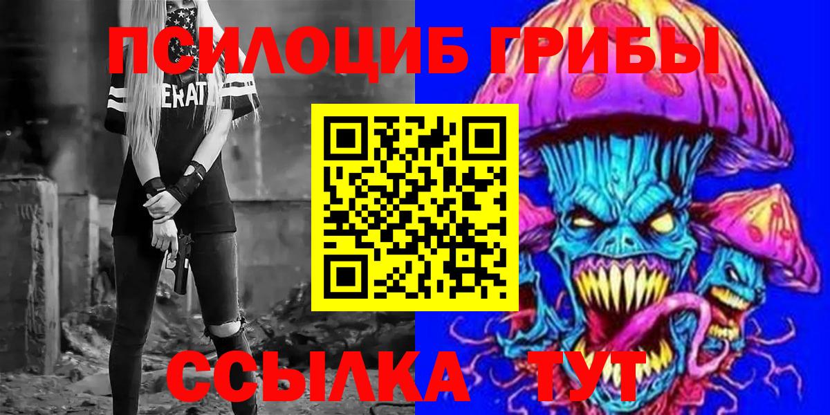 Галлюциногенные грибы Psilocybine cubensis Карталы