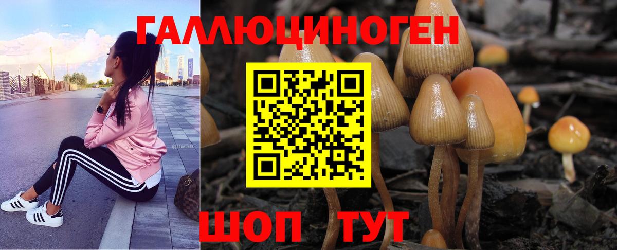 Галлюциногенные грибы Psilocybine cubensis  Вход с VPN  Карталы 